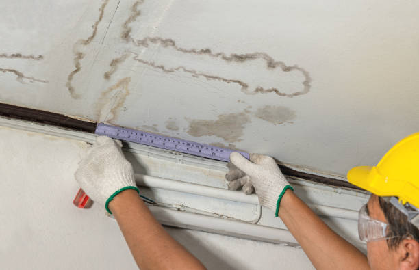 Reliable Water Damage Repair contractor in Ames, IA by Hirex Water Damage